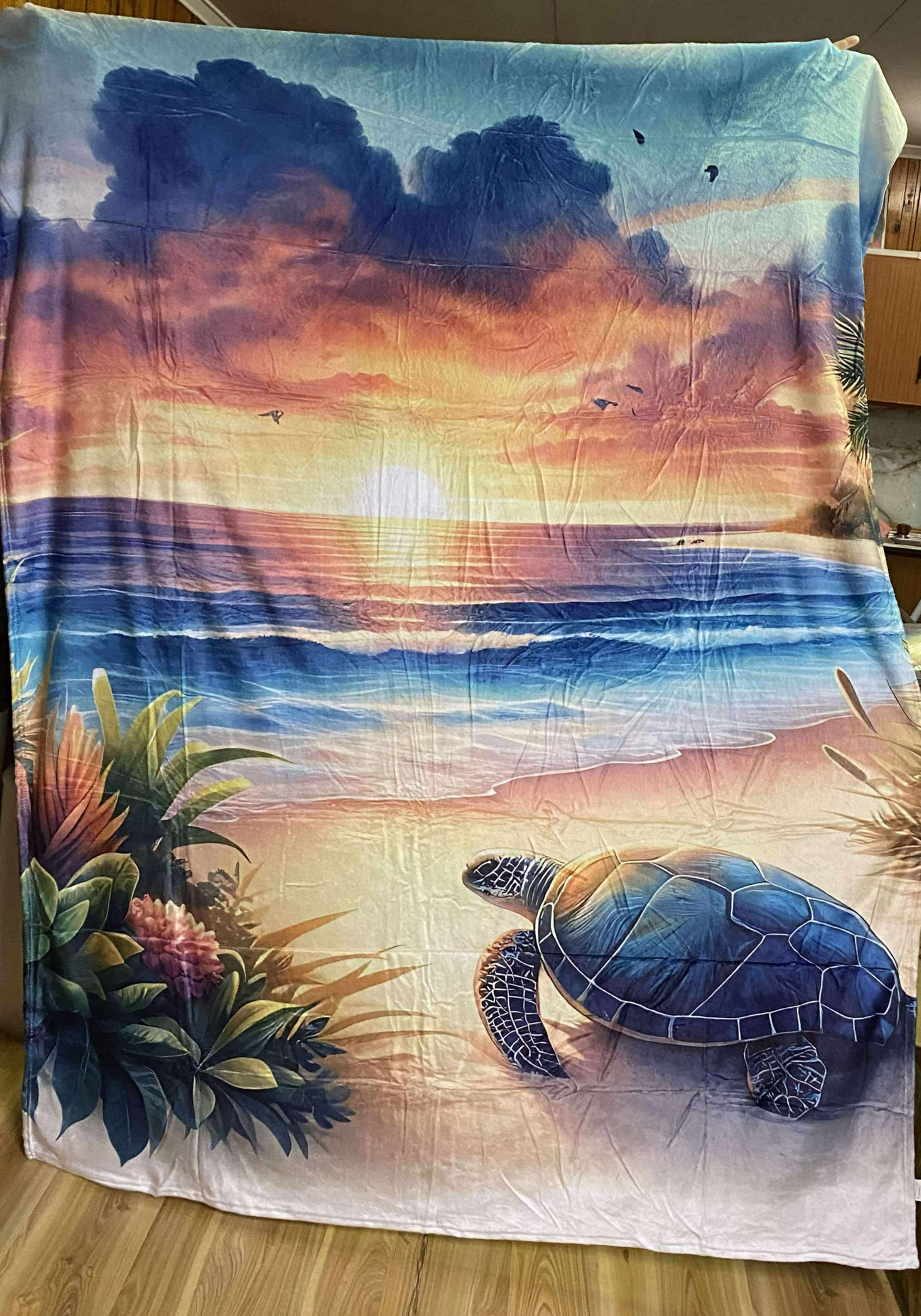 Turtle Paradise